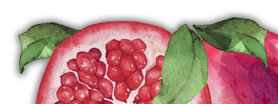 Illustration d'une grenade