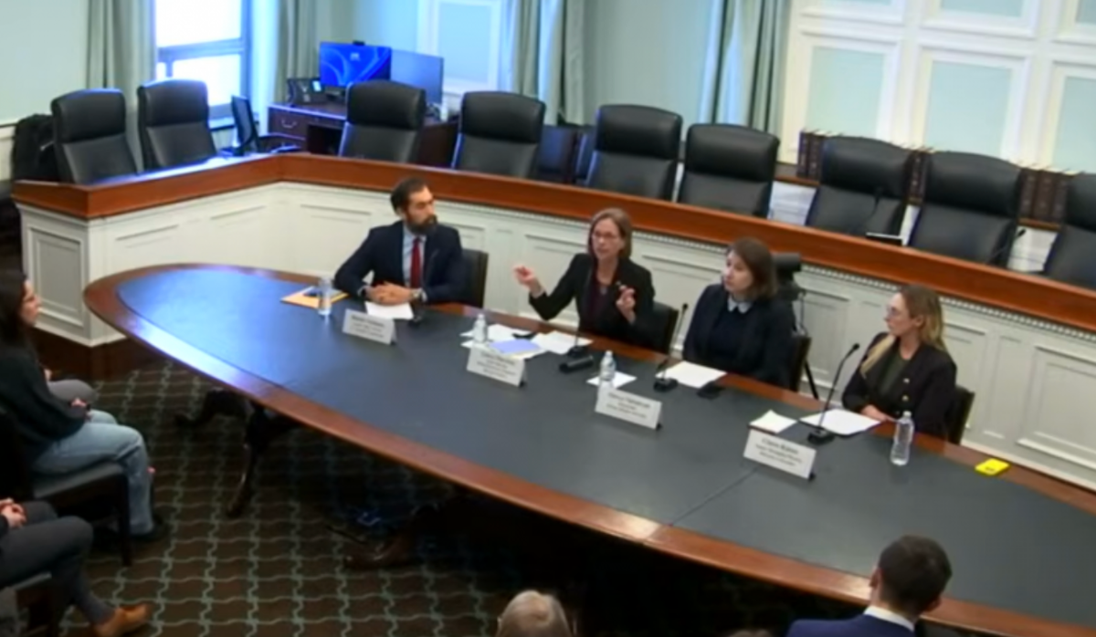 La Commission d'Helsinki discute de la situation en Géorgie et d'une éventuelle « réinitialisation » des relations avec les États-Unis