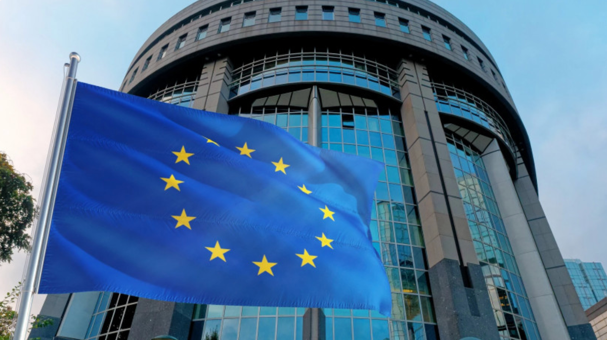 Prisonniers politiques, répression et sanctions : débat sur la Géorgie au Parlement européen