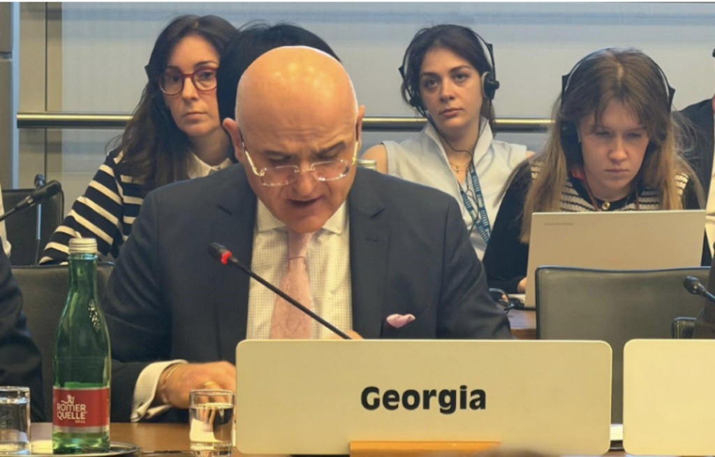 Les autorités géorgiennes sur le rapport du Mécanisme de Moscou de l'OSCE