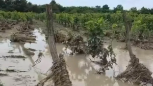 Les inondations à Telavi, en Géorgie, causent d&rsquo;importants dégâts aux habitations et aux infrastructures