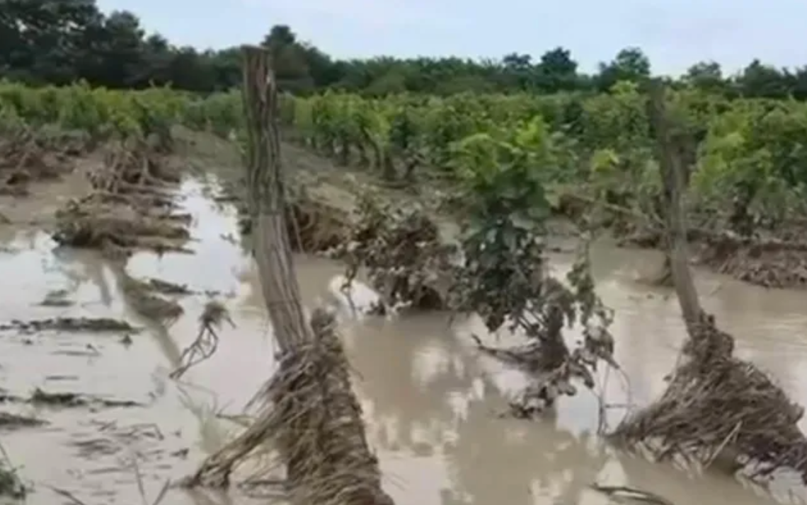 Les inondations à Telavi, en Géorgie, causent d'importants dégâts aux habitations et aux infrastructures