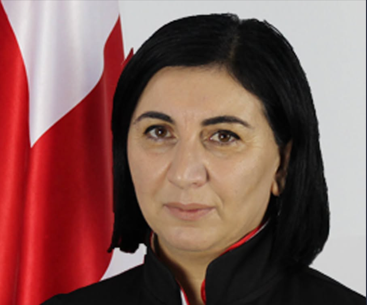 Tsitsino Kikvadze, Georgia: judge challenges officials’ insult law