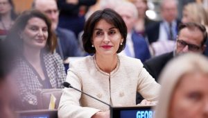 La Géorgie se joint à la déclaration pro-ukrainienne de l&rsquo;ONU alors que le ministre des Affaires étrangères s&rsquo;exprime au sommet de la plateforme sur la Crimée
