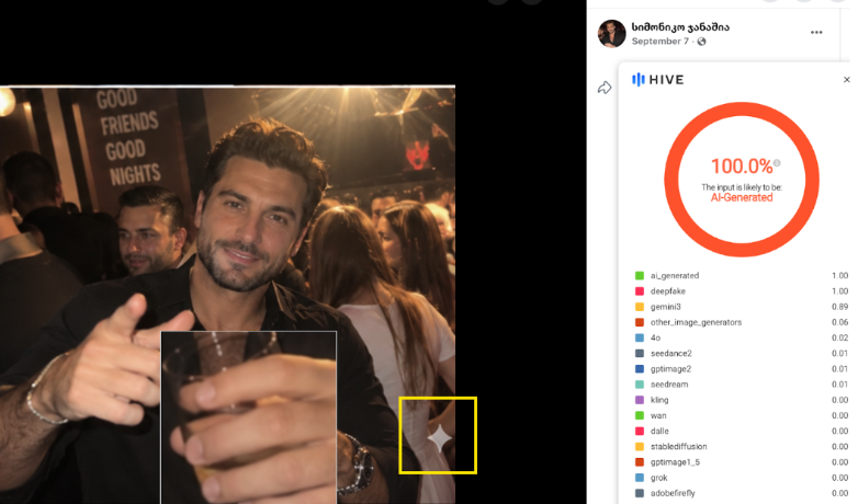Faux comptes pro-gouvernementaux en Géorgie