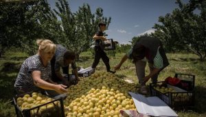 De l’Ouzbékistan à l’UE : où les produits arméniens sont exportés après que la Russie a imposé des restrictions