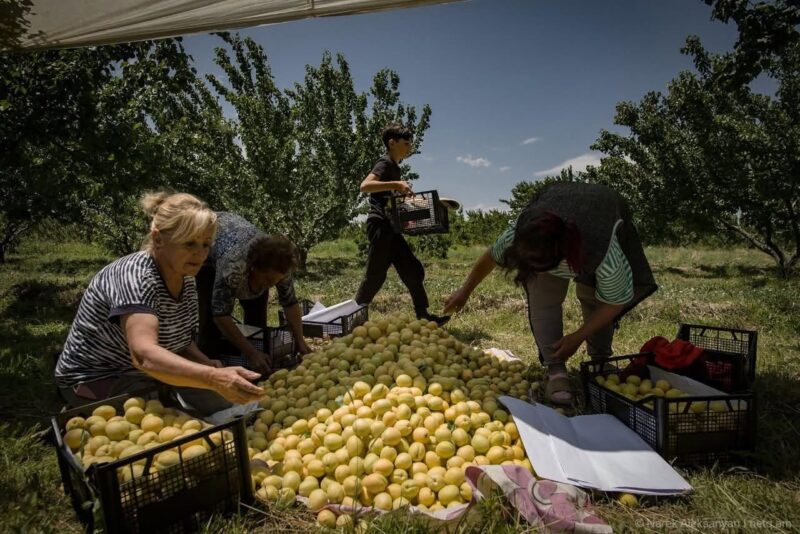 De l’Ouzbékistan à l’UE : où les produits arméniens sont exportés après que la Russie a imposé des restrictions