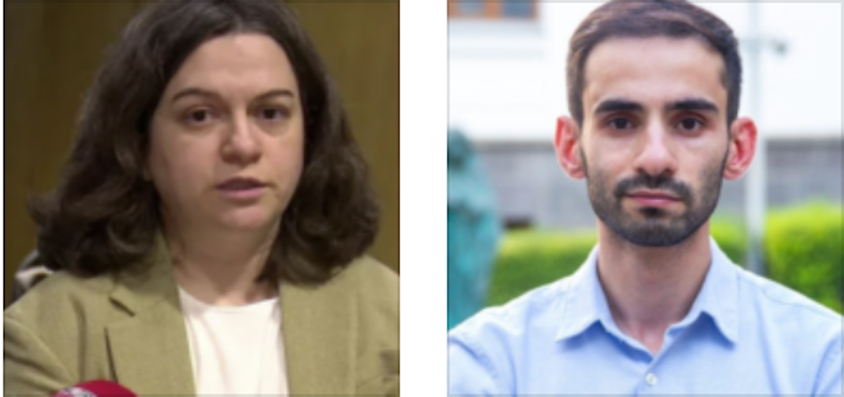 Ce qui a changé dans la loi géorgienne sur les subventions