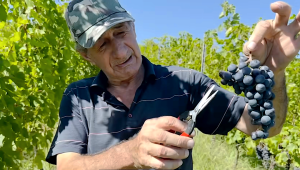Le « rosé léger », ou pourquoi affirmer que l&rsquo;Abkhazie n&rsquo;a pas de bon vin, est dépassé. VIDÉO